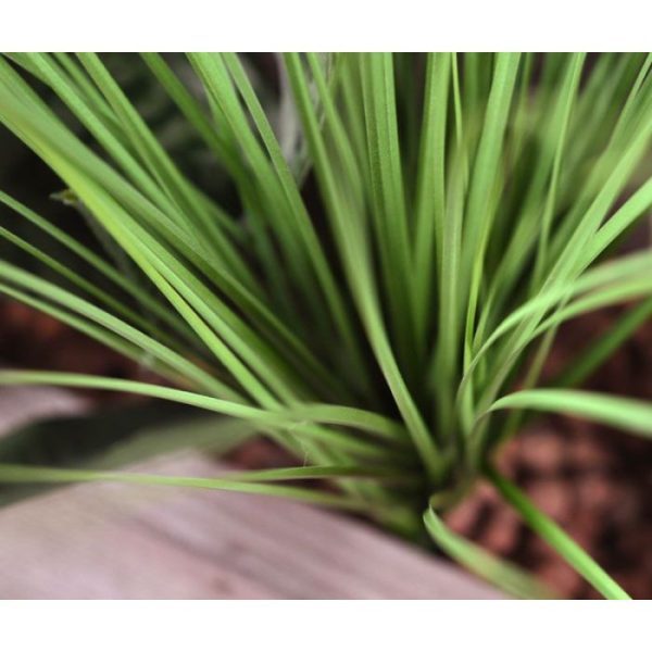 Kunst gras boeket 60 cm groen 4