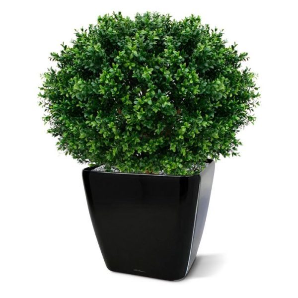 de diameter is ongeveer 70 cm. Standaard wordt de bol geleverd in een plastic pot. Omdat de UV-protector enkel in de grondstof van de kunststof delen is verwerkt