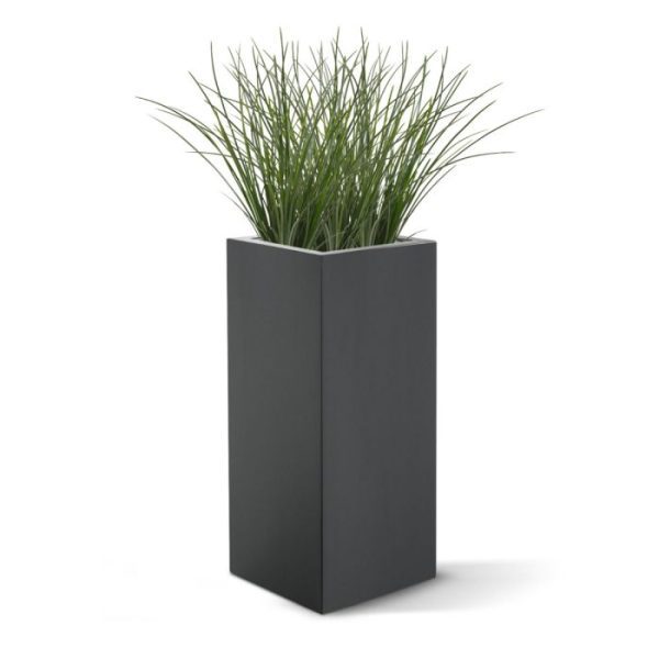 zodat deze eenvoudig in een sierpot of bakken te plaatsen is. Vanaf 12 stuks profiteert u van de staffel korting.