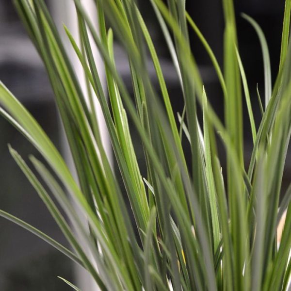 Kunstgras boeket 40 cm UV 3