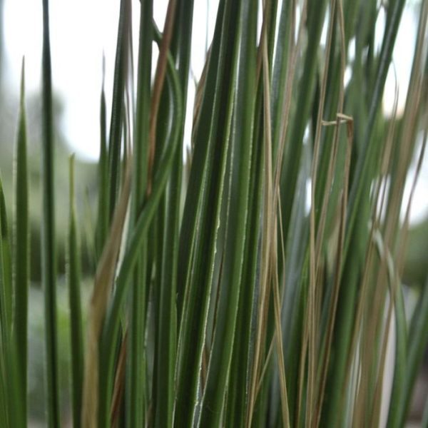 Kunstgras-boeket-70-cm-UV-4 Kunstgras boeket 70 cm UV 4