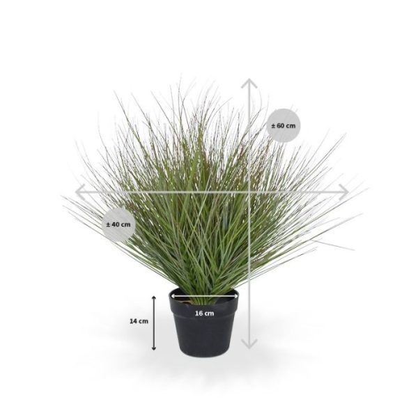 maar ook uitstekend in een arrangement verwerken. Iets leuks gezien hieronder? De sierpotten zijn direct mee te bestellen! Deze kunst siergrasplant is geschikt voor binnengebruik en wordt geleverd in een standaard plastic binnenpot met vaste binnenvulling zodat deze eenvoudig te verwerken is. De hoogte is 60 cm en de breedte à 70 cm. Bij meerdere stuks geldt een voordeelprijs
