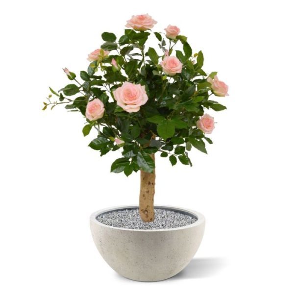 Kunstplanten dikke