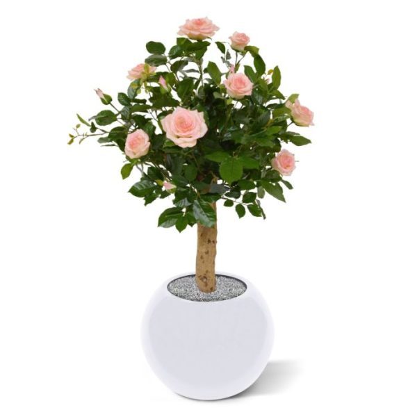 Kunstroos op stam 75 cm roze Met deze bloeiende kunst stamroos maakt u op snelle en eenvoudige wijze een prachtige sfeer. Deze natuurgetrouw nagemaakte kunstplant is gebouwd op een korte