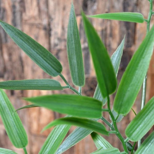 Kunststof-Bamboe-Tak-65-cm-UV-5 Kunststof Bamboe Tak 65 cm UV 5