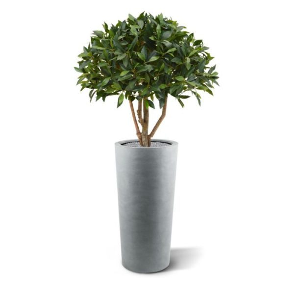 Laurier-bal-op-stam-70-cm-kunstplant-10 Laurier bal op stam 70 cm kunstplant 10