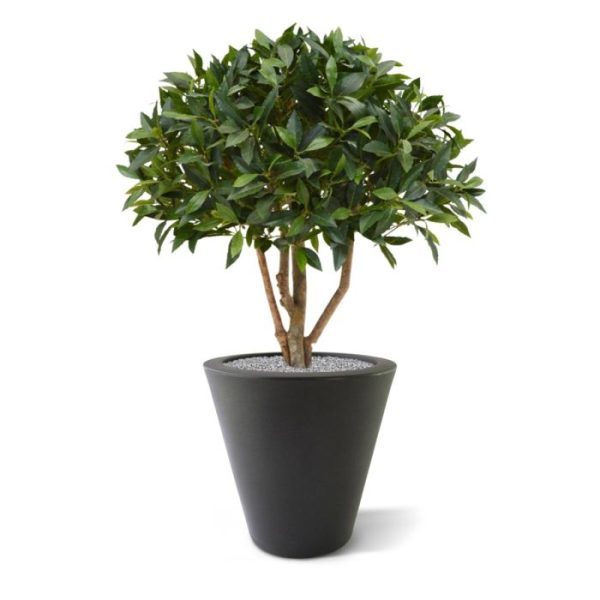 Laurier bal op stam 70 cm kunstplant Deze schitterende Laurier kunstboom op stam 70 cm is speciaal ontwikkeld en daarom exclusief in Europa! De nagemaakte boom is opgebouwd uit 3 stammen van echt hout