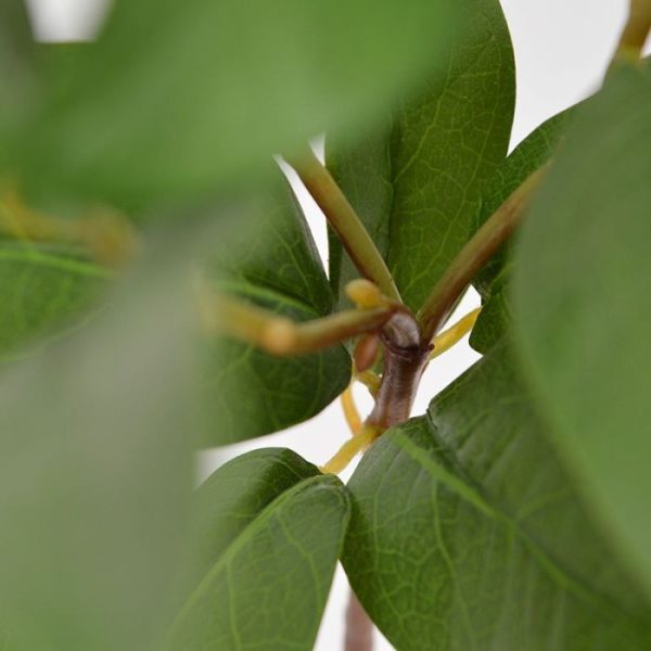Kunstbloemen 30 kunstzijden bladeren en verschillende knoppen. De totale lengte van de kunsttak is ongeveer 60 cm. De breedte is ongeveer 20 cm. Vanaf 12 stuks geldt een voordeel prijs.
