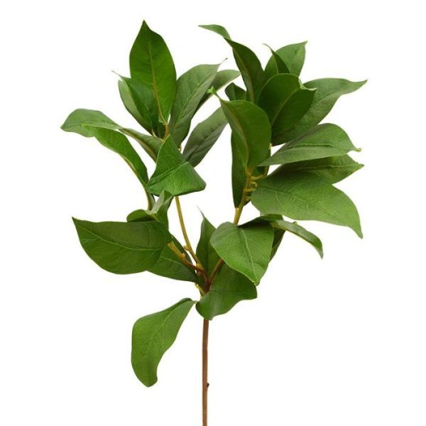 Laurier-kunstbladtak-60-cm-3 Laurier kunstbladtak 60 cm 3