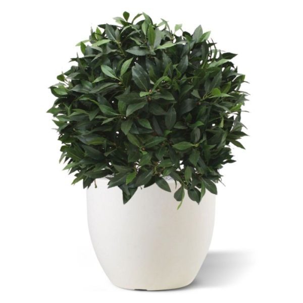Kunstplanten Laurierbol XL kunstplant 60 cm 1
