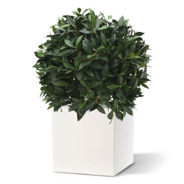 Groene kunstplanten Laurierbol XL kunstplant 60 cm 2