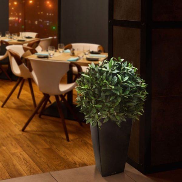 Laurierbol-XL-kunstplant-60-cm-6 Laurierbol XL kunstplant 60 cm 6