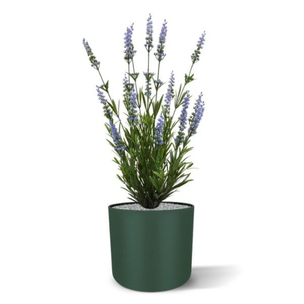 kunststof Lavendel plantje 50 cm is met zijn vele prachtige bloemetjes een decoratief tafelplantje dat zich graag laat zien op de vensterbank thuis