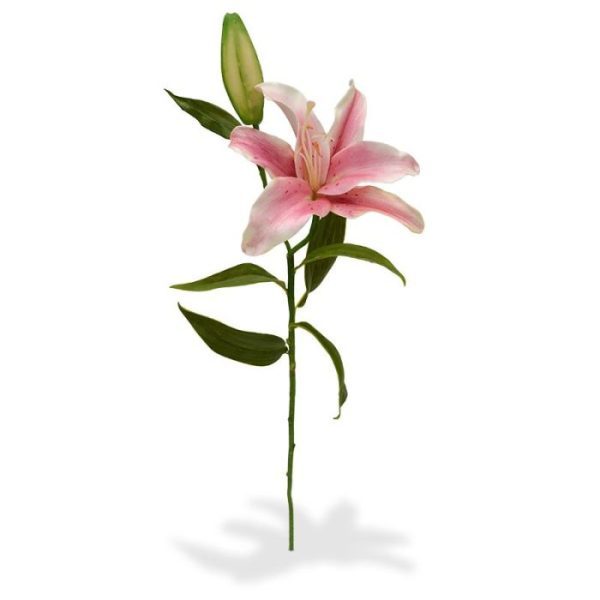 Deze bijzonder verfijnde kunst Lelie Tak Deluxe 54 cm creme kenmerkt zich door de tot in detail nagemaakte bloem en fijne oranje stampertjes.   De steel telt 1 grote kunstzijden bloem