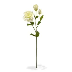 Deze schitterende Lisianthus kunst steelbloem is net echt! De kunstbloem is opgebouwd uit een steel met daarop een kunstzijden Lisianthus bloem en 2 zijtakken met knoppen. De grote bloem meet ongeveer 10 cm breed en is zeer verfijnd nagemaakt. De kunst Lisianthus wordt standaard als losse steel geleverd en kan daardoor makkelijk verwerkt worden tot prachtige kunstboeketten. De steel heeft een lengte van ongeveer 80 cm en is verkrijgbaar in het creme