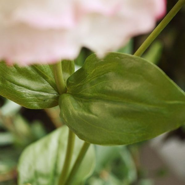 Lisianthus kunst steelbloem 80 creme 5