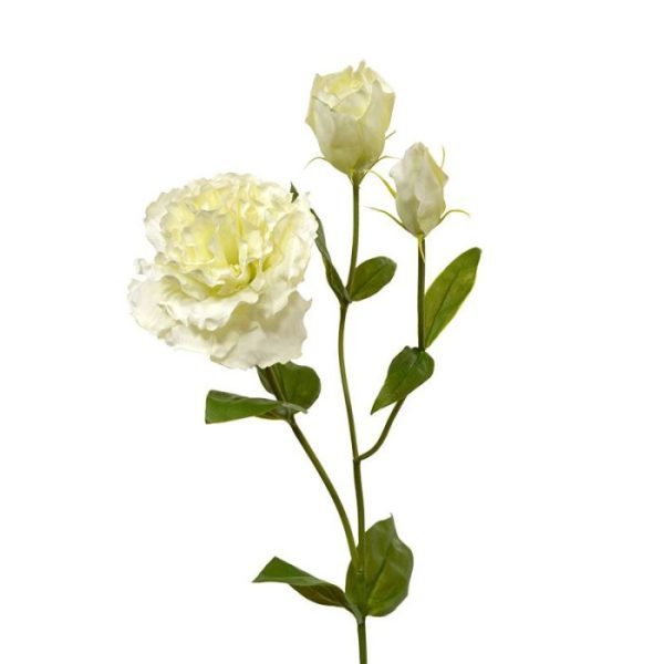 Lisianthus kunst steelbloem 80 creme 6