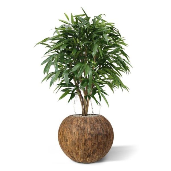 Kunstbomen Longifolia XL Deluxe 120 cm kunstboom 1