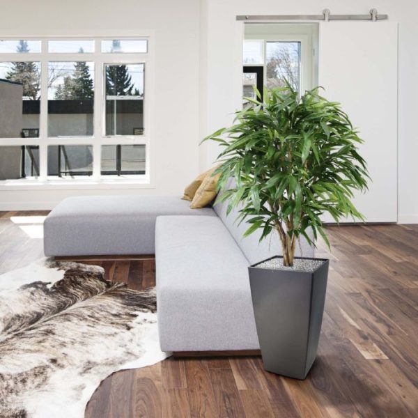 Longifolia-XL-Deluxe-120-cm-kunstboom-10 Longifolia XL Deluxe 120 cm kunstboom 10