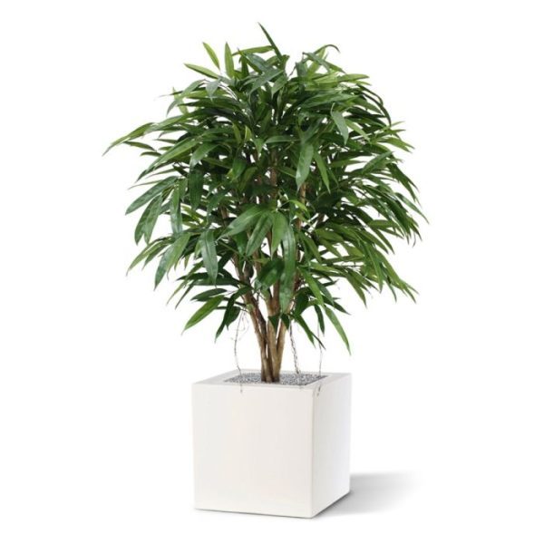 Groene kunstbomen Longifolia XL Deluxe 120 cm kunstboom 2