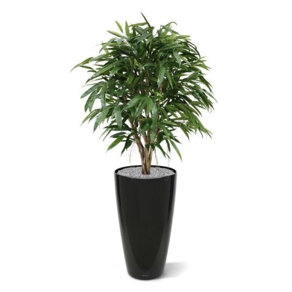 Longifolia-XL-Deluxe-120-cm-kunstboom-9 Longifolia XL Deluxe 120 cm kunstboom 9