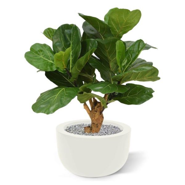 Lyrata Deluxe kunstplant 80 cm op stam 2