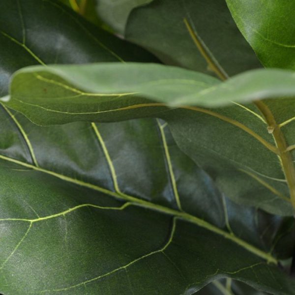 hetgeen eenvoudig uit te voeren is door simpelweg de zijtakken in de juiste voorgeboorde gaten in de stam te plaatsen en af te smeren met de bijgeleverde houtpasta. De afgeb...