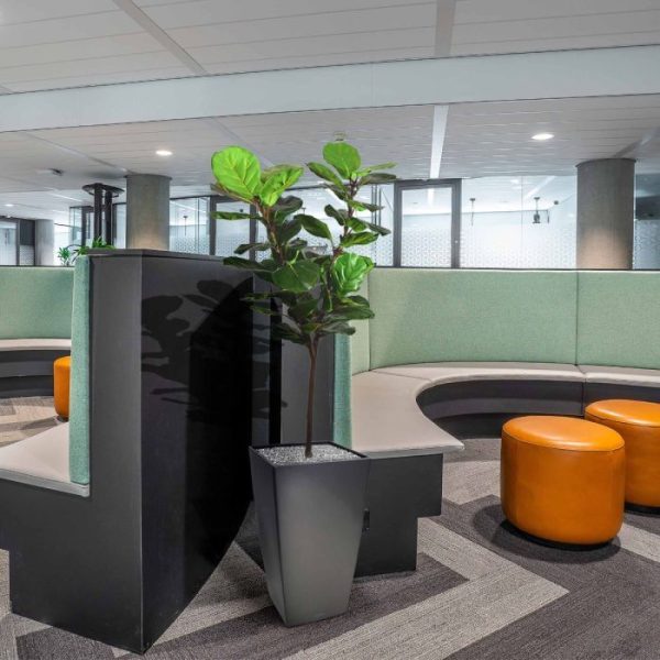 Lyrata Y stam kunstboom 150 cm 5