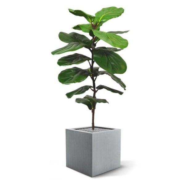 zodat deze eenvoudig in een sierpot geplaatst kan worden. Laat u hieronder inspireren.