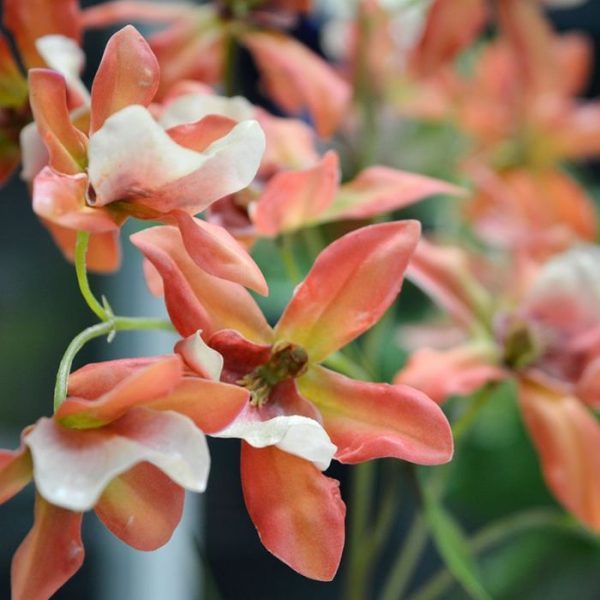 Macara-Orchidee-kunstboeket-80-cm-oranje-6 Macara Orchidee kunstboeket 80 cm oranje 6