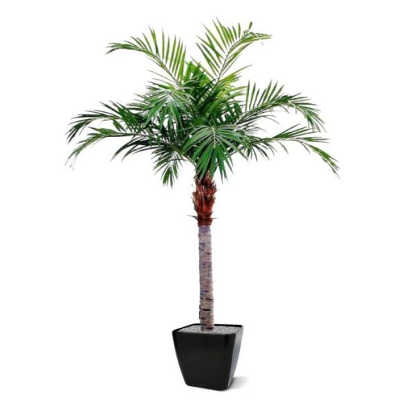Majesty Kunstpalm Giant 350 cm 2