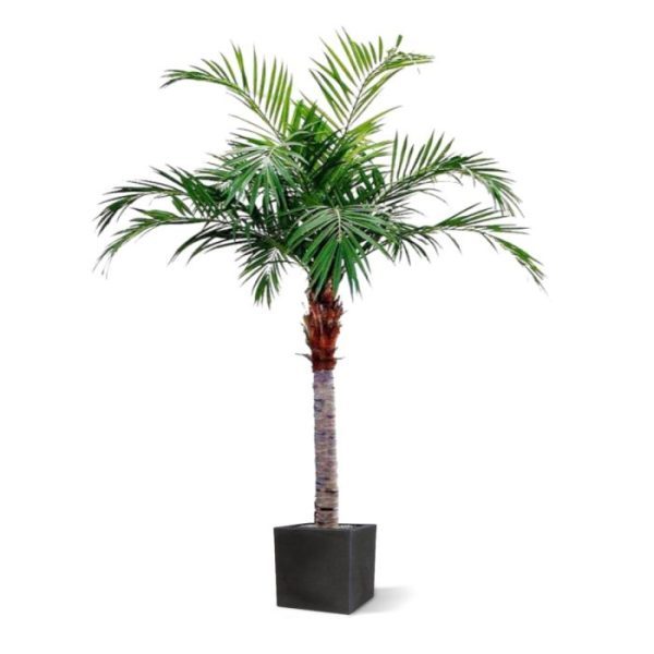 Majesty Kunstpalm Giant 350 cm 8