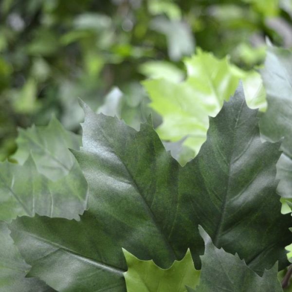 Kunst bladtakken dient als basis voor vele toepassingen. De kunstzijden Maple blaadjes zijn gemaakt op basis van het echte Maple blad en krijgen hierdoor een natuurlijke look. De lengte van deze nagemaakte Maple Tak is ongeveer 70 cm en de breedte bedraagt ongeveer 40 cm. Standaard wordt de tak los geleverd zodat ze makkelijk te verwerken zijn tot compleet op maat gemaakte Esdoorn bomen. Er zijn vele mogelijkheden denkbaar