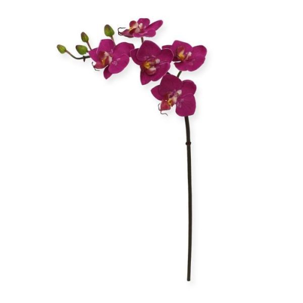 Deze mooi nagemaakte kunstbloem is een kopie van de best verkochte Orchideeën van Nederland: De Phalaenopsis Orchidee!   Deze zijden mini Phalaenopsis 50 cm paars wordt als losse steel geleverd en kan enkel of met meerdere in veel verschillende sierpotten en vasen gestoken worden tot de kleurrijkste arrangementen. Hierdoor is de kunst Orchidee niet alleen ter decoratie voor in huis