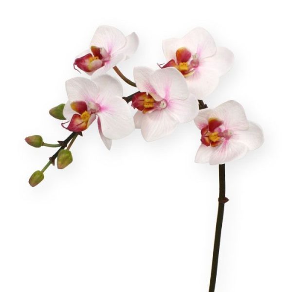 Mini-Phalaenopsis-kunstplant-50-cm-rose-7 Mini Phalaenopsis kunstplant 50 cm rose 7