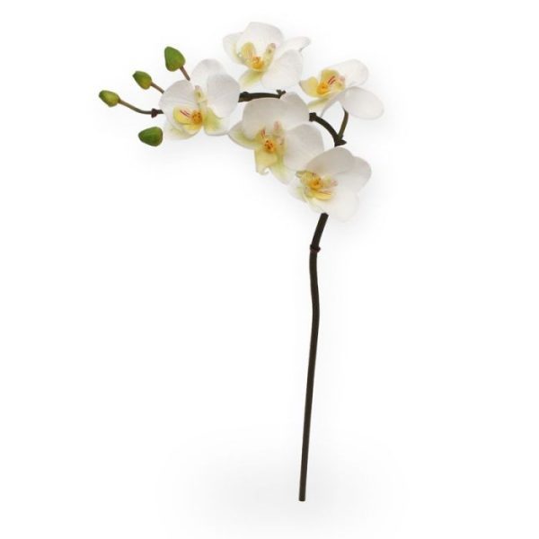 Deze mooi nagemaakte kunstbloem is een kopie van de best verkochte Orchideeën van Nederland: De Phalaenopsis Orchidee!   Deze zijden mini Phalaenopsis 50 cm wit wordt als losse steel geleverd en kan enkel of met meerdere in veel verschillende sierpotten en vasen gestoken worden tot de kleurrijkste arrangementen. Hierdoor is de kunst Orchidee niet alleen ter decoratie voor in huis