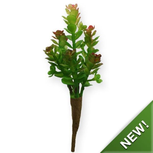 Mini-Sedum-boeket-18-cm-3 inclusief steel