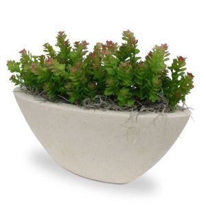 Het kunst Sedum vetplant boeket