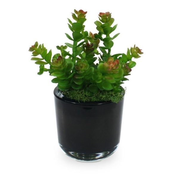 Mini-Sedum-boeket-18-cm-4 ongeveer 18 cm en de breedte is ongeveer 12 cm. In deze versie wordt de kunstplant geleverd zonder pot zodat deze eenvoudig in een arrangement is op te steken. Vanaf 6 stuks geldt speciale korting.