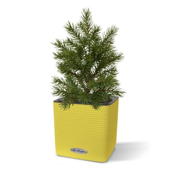 Mini kunstkerstboom 28 cm in pot 2