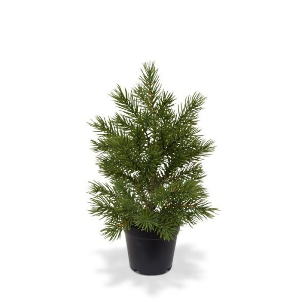 Mini kunstkerstboom 28 cm in pot 9