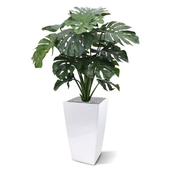 zal zich perfect thuisvoelen in een luxe interieur. De schitterende donkergroene