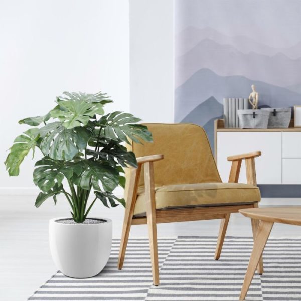 zodat hij gemakkelijk in de door u gewenste sierpot te plaatsen is.