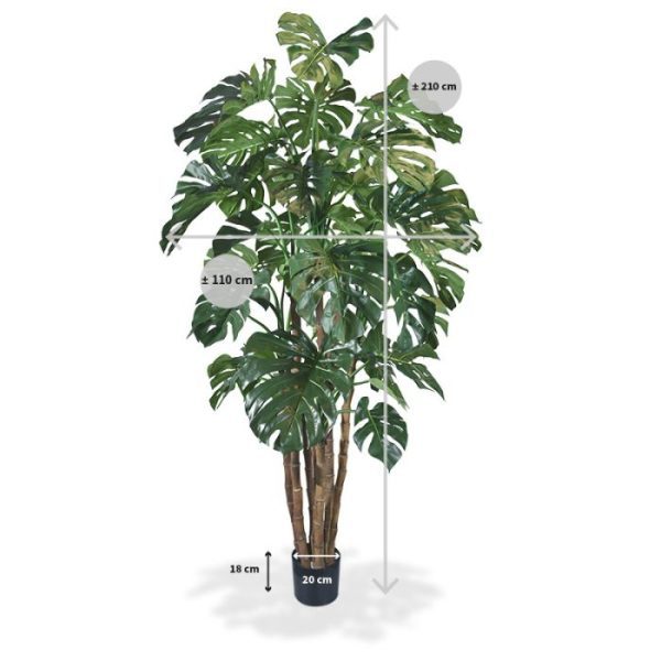 solitaire presentatie in een sierpot.