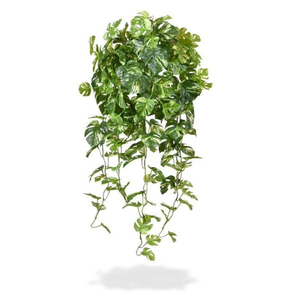 Monstera kunsthangplant 80 cm bont 3