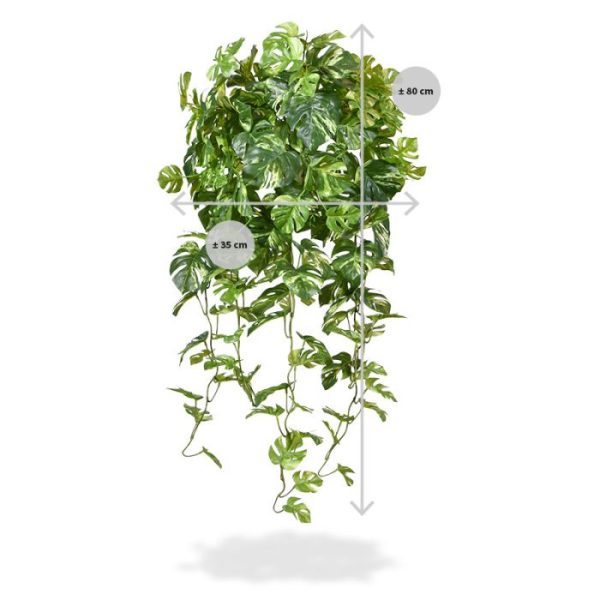 Monstera kunsthangplant 80 cm bont