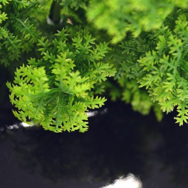 Kunstboeketten Mos Boeket PL 20 cm 2