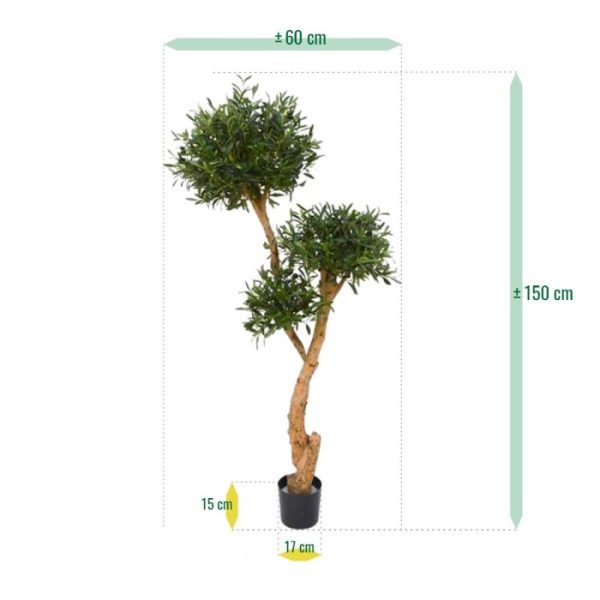 Olijf-Bonsai-Deluxe-x3-160-cm-5 Olijf Bonsai Deluxe x3 160 cm 5