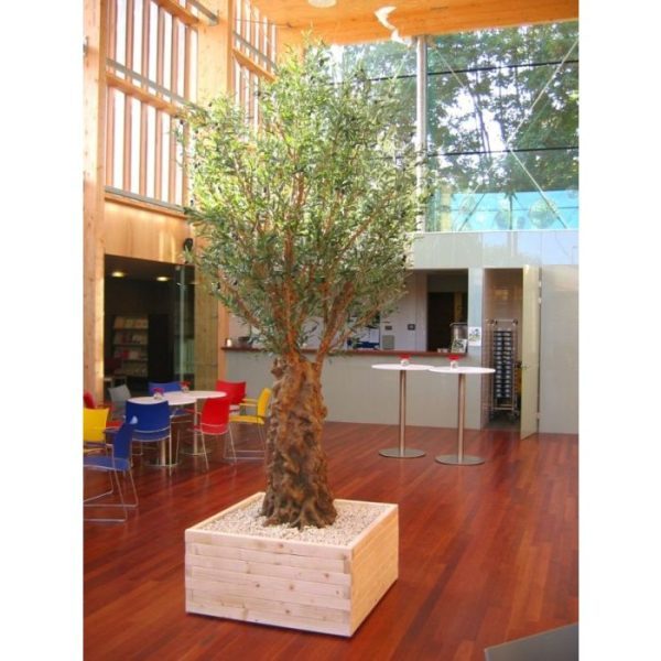 Als u op zoek bent naar een mediteraanse eyecatcher dan is deze exclusieve kunstzijden Olijfboom Deluxe de beste keuze! Deze schitterende Olijfboom is speciaal door Maxifleur ontworpen exclusief bij ons verkrijgbaar. De goedgevulde boom