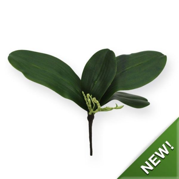 Orchidee-Bladtoef-S-x4-4 Orchidee Bladtoef S x4 4